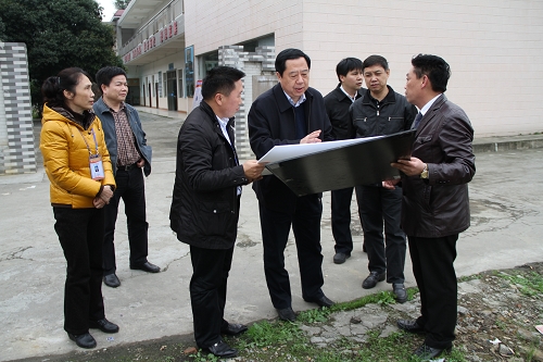 韩元利厅长对我中心“柳州项目”建设进展情况做指示